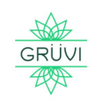 Gruvi