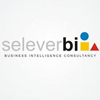 SeleverBI