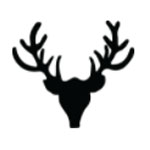 Taxidermy