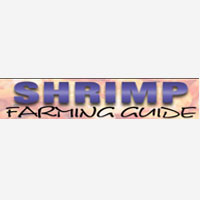 Shrimp Farming Guide