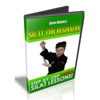 Silat For Beginners Video Trainin