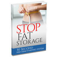 Stop Fat Storage
