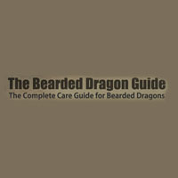 The Bearded Dragon Guide