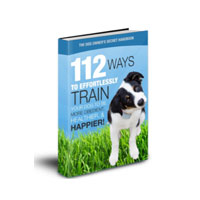 112 Amazing Dog