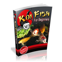 Koi Fish Clubs