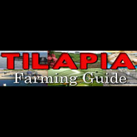 Tilapia Farming Guide