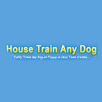 Model Trains