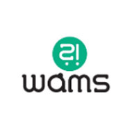 Wams Socks