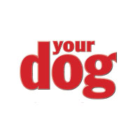 Your Dog Magazine