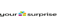 YourSurprise IT logo