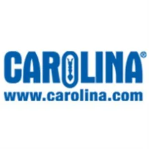 Carolina