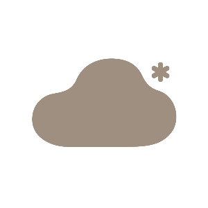Petsnowy logo