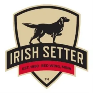 Irish Setter