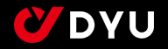 DYU Ebike