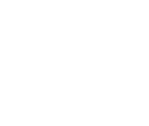 Sky View Observatory - Seattle (UK affiliates) UK logo
