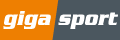 Gigasport IT logo