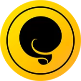 Squirrly Limited logo