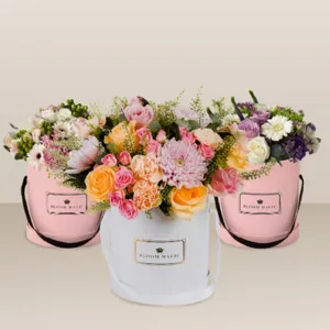 Bloom Magic IE
