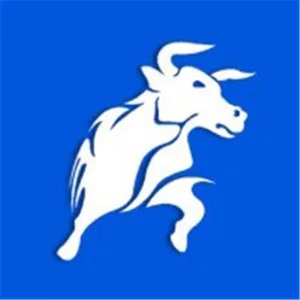 BlackBull Partners